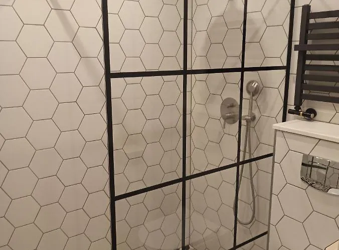 Mieszkanie W Kamienicy 4c *